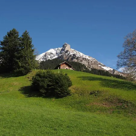 Iris Adelboden